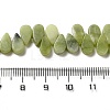 Natural Natural Xinyi Jade/Chinese Southern Jade Beads Strands G-B064-B04-5