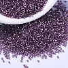 MIYUKI Delica Beads SEED-X0054-DB2169-1
