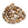 Natural Fossil Coral Beads Strands G-P497-01E-36-3