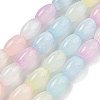 Macaron Color Natural Selenite Beads Strands G-B102-A01-01-1