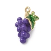 Fruit Theme Alloy Enamel Pendants PALLOY-P314-01B-G-1