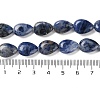 Natural Sodalite Beads Strands G-K357-A01-01-5
