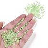 8/0 Glass Seed Beads SEED-A015-3mm-2214-4