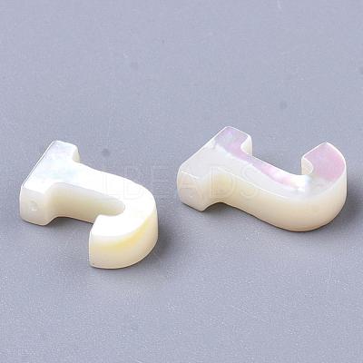 Natural Sea Shell Beads SHEL-T012-60J-1
