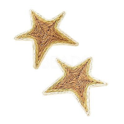 Iron and Raffia Stud Earrings for Women WGF3A03-02-1