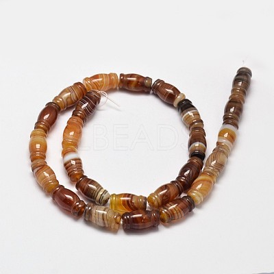 Column Natural Striped Agate/Banded Agate Bead Strands G-M258-41-1