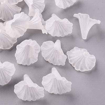 Transparent Acrylic Beads BSF796-1