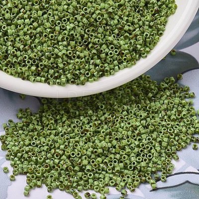 MIYUKI Delica Beads X-SEED-J020-DB2265-1