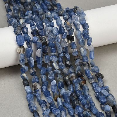 Natural Kyanite Beads Strands G-Q060-D17-1
