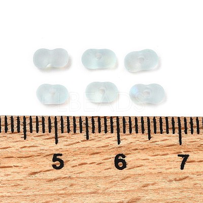 Glass Frosted Seed Beads LS-SEED-NH0002-01D-1