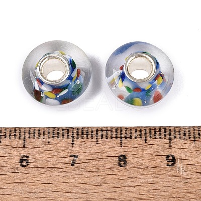 Handmade Lampwork & Brass Core European Beads LAMP-N044-09S-01-1