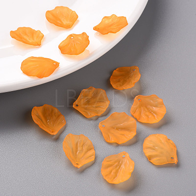 Transparent Frosted Acrylic Pendants MACR-S371-01A-724-1