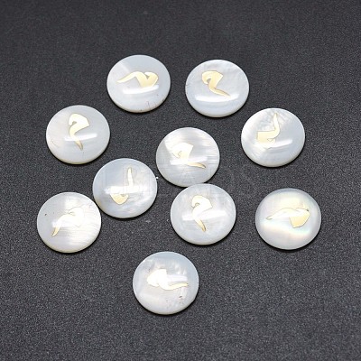 Shell Cabochons SSHEL-E568-B09-1