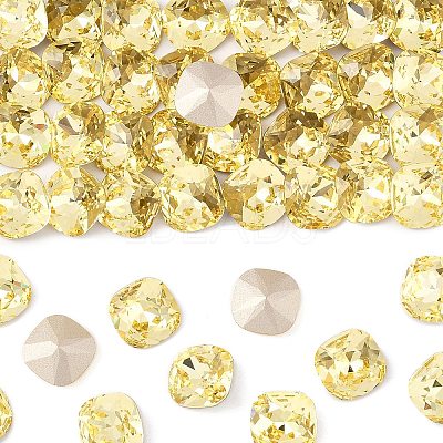Preciosa&reg MAXIMA Crystal Fancy Stones X-PRC-FC10-80100-1