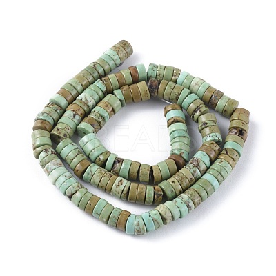 Natural Magnesite Beads Strands TURQ-L030-04B-02-1