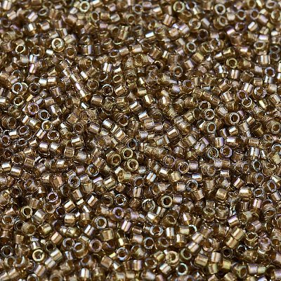 MIYUKI Delica Beads X-SEED-J020-DB2396-1