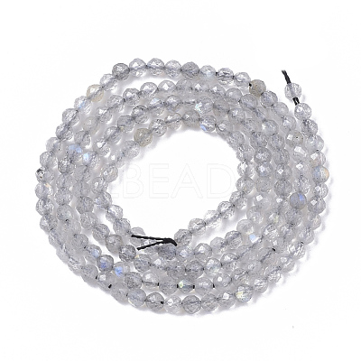 Natural Labradorite Beads Strands X-G-S361-2mm-010-1