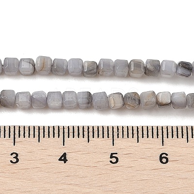 Natural Freshwater Shell Dyed Beads Strands SHEL-R100-11A-02-1