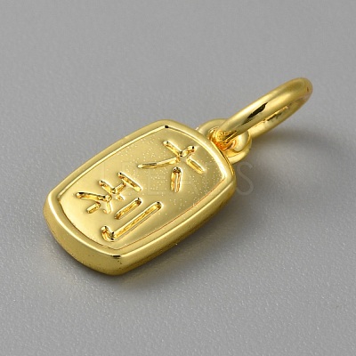 Alloy Pendants with Chinese Characters FIND-WH0159-63G-24-1
