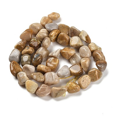 Natural Fossil Coral Beads Strands G-P497-01E-36-1