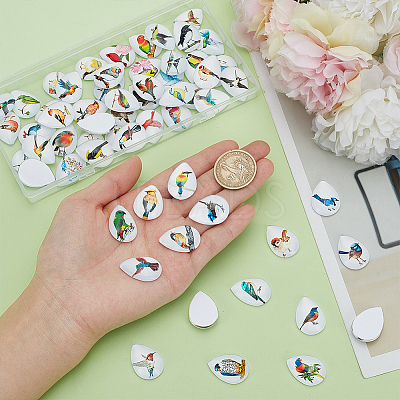 1Set Glass Cabochons GGLA-PH0001-65F-1