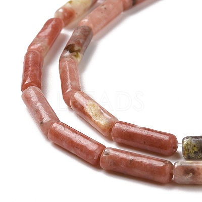 Natural Plum Blossom Jasper Beads Strands G-F247-54-1