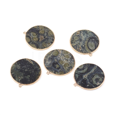 Natural Kambaba Jasper Pendants G-E526-10G-1