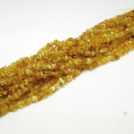 Natural Amber Chip Beads Strands X-G-E333-01A-1