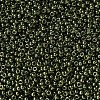 MIYUKI Round Rocailles Beads SEED-JP0008-RR0306-3
