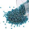 TOHO Round Seed Beads SEED-JPTR15-0167BD-1