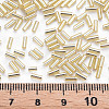 Plated Glass Bugle Beads SEED-S046-01A-22-3