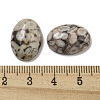 Natural Maifanite Cabochons G-C115-01A-30-3