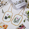 Brass Hanging Photo Frames DIY-WH0888-609B-4