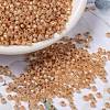 MIYUKI Round Rocailles Beads X-SEED-G008-RR0580-1