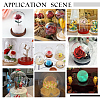 8 Sets 8 Style Round Glass Dome Cover AJEW-PH0004-87-5