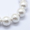 Shell Pearl Beads Strands BSHE-K053-02-18mm-3