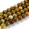 Natural Yellow Opal Beads G-P446-02C-1
