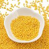 Baking Paint Glass Seed Beads SEED-S042-05B-82-2