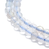 Natural Fluorite Beads Strands G-P457-A01-19-2