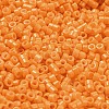 Baking Paint Glass Seed Beads SEED-S042-05A-30-3