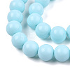 Opaque Solid Color Glass Beads Strands GLAA-T032-P4mm-10-1-3