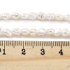 Natural Keshi Pearl Cultured Freshwater Pearl Beads Strands PEAR-P062-25E-5