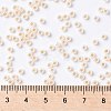 TOHO Round Seed Beads SEED-TR08-0751-3