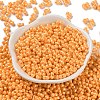 Glass Seed Beads SEED-L011-04A-06-2