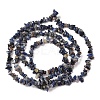 Natural Sodalite Chips Beads Strands F024-8