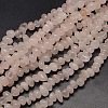 Nuggets Natural Gemstone Beads Strands G-P029-M-2