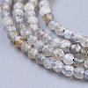 Natural Rainbow Moonstone Beads Strands G-R475-025A-3