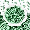 Baking Paint Pearlized Glass Seed Beads SEED-T008-03R-2