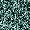 FGB 11/0 Grade A Glass Seed Beads SEED-S030-1209-2