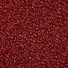 MIYUKI Round Rocailles Beads X-SEED-G007-RR0141-3